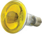 (B) 230V, 60W Gul