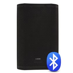 CASA-12A 12" Aktiv Högtalare