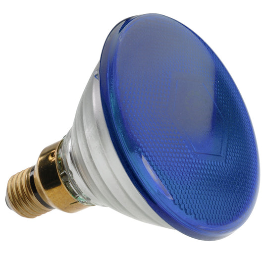(Z4) PAR38 och PAR46 80W Blå