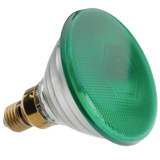 (Z4) PAR38 och PAR46 Grön