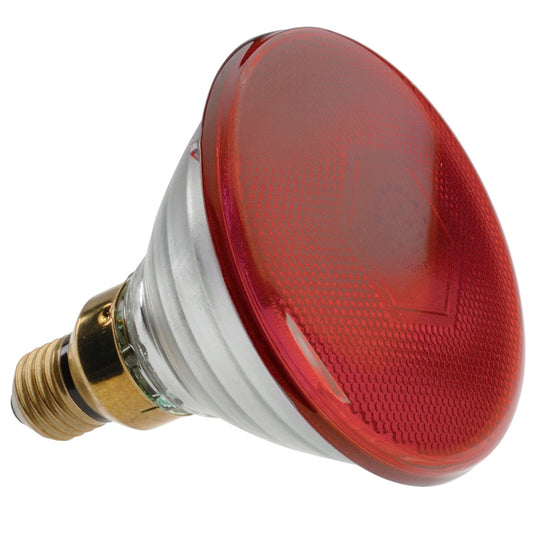 (Z4) PAR38 och PAR46 Röd