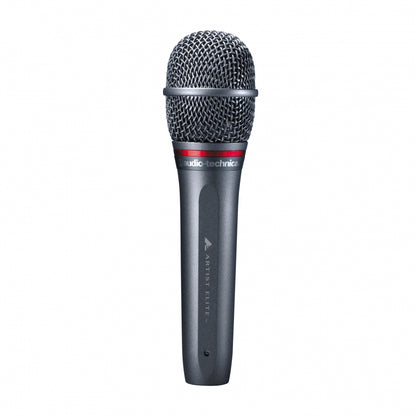 AE6100 - Dynamisk Sångmikrofon